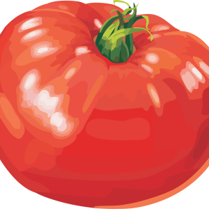 Tomato PNGpicture