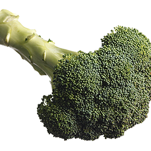 Broccoli PNG