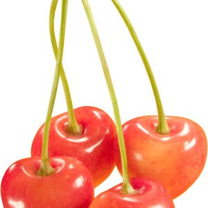 cherries PNG image
