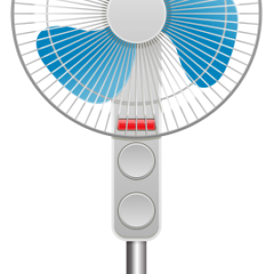 fan PNG
