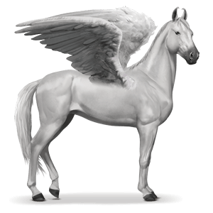 Pegasus PNG
