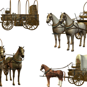 Carriage PNG