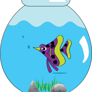 Aquarium PNG