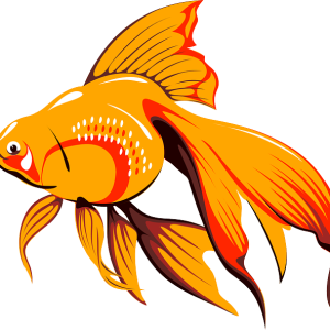Goldfish PNG