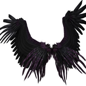 Wings PNG