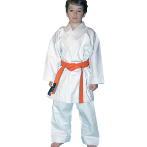 Karate PNG