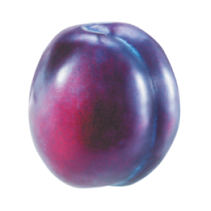Plum PNG image