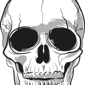 Skull PNG