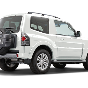 Mitsubishi PNG