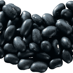 Kidney beans PNG