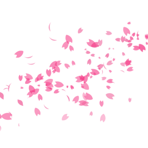 Sakura PNG