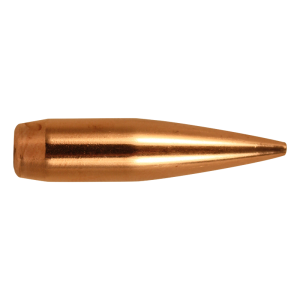 Bullets PNG image