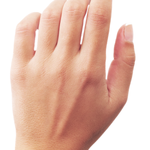 Hands PNG, hand image free