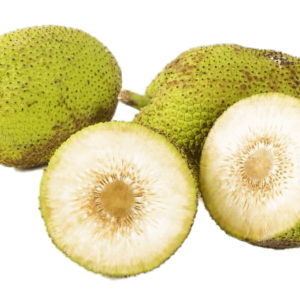 Jackfruit PNG