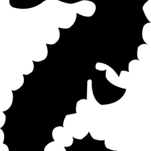 Seahorse PNG