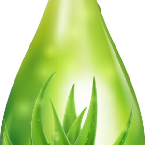 Aloe vera PNG