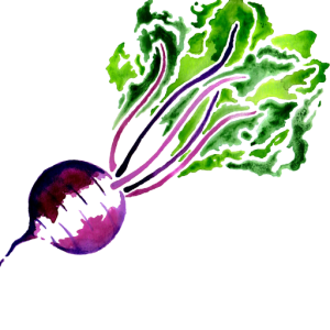 Beet PNG