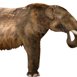 Mammoth PNG