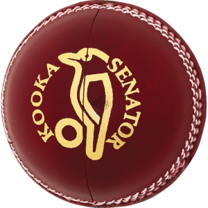 Cricket ball PNG