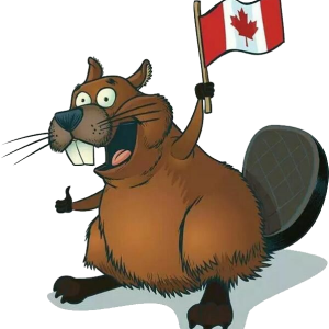 Beaver PNG