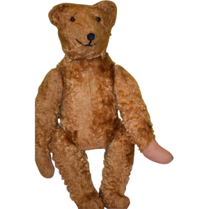 Teddy bear PNG