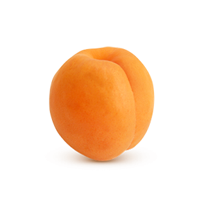 Apricot PNG image