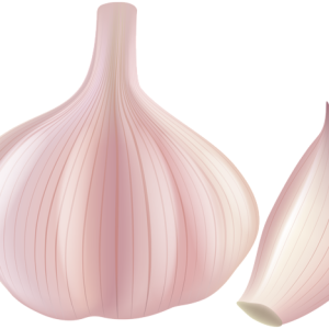 Garlic PNG