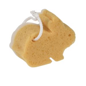 Sponge bath PNG