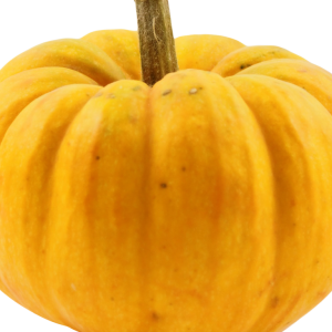 Pumpkin PNG