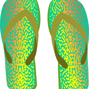 Flip-flops PNG