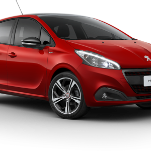 Peugeot PNG