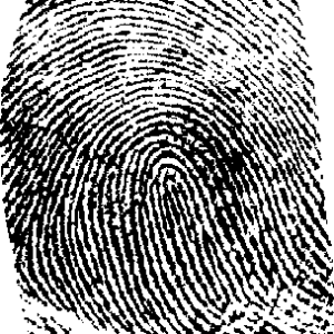 Fingerprint PNG
