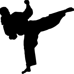 Karate siluete PNG