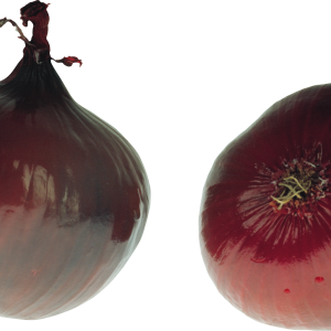 Onion PNG