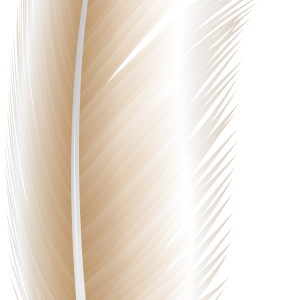 Feather PNGpicture