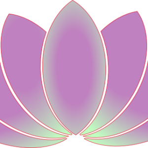 Lotus flower PNG