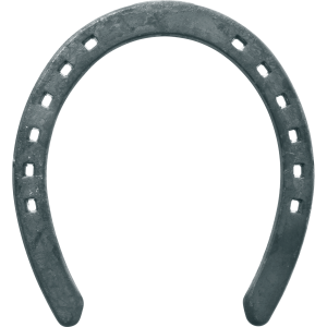Horseshoe PNG