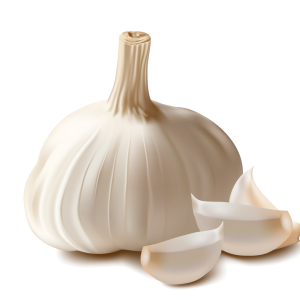 Garlic PNG
