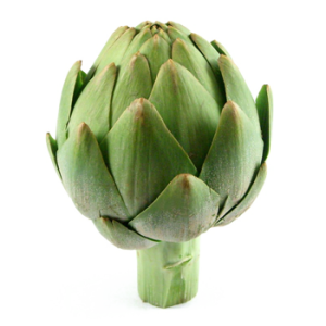 Artichoke PNG