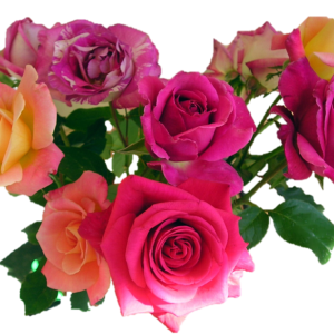 Bouquet flowers PNG