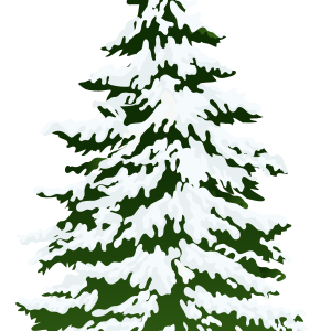 Christmas tree PNG