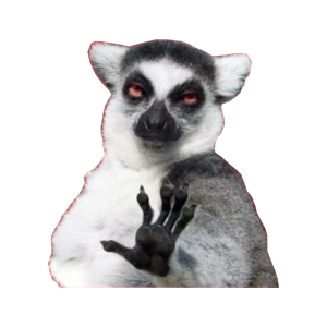 Lemur PNG