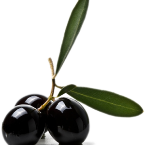 Olive PNG