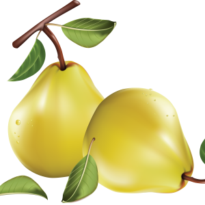 Pear PNG image