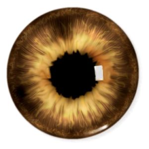 Eye PNG