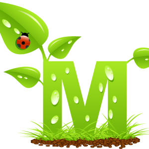 Letter M PNG