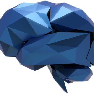 Brain PNG