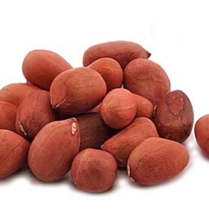 Peanut PNG
