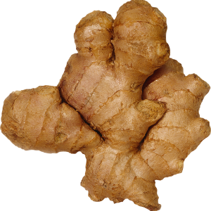 Ginger PNG