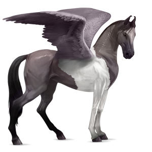Pegasus PNG